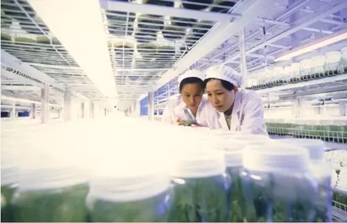 重德觅上药，诚善济世人