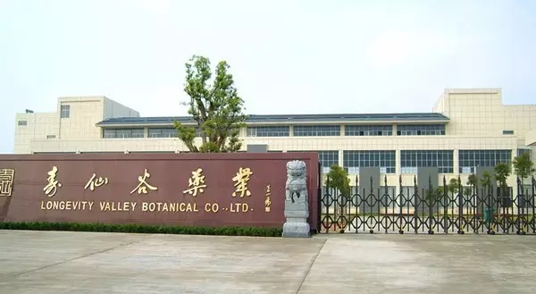 重德觅上药，诚善济世人